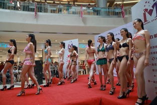 德州庆典演艺全方位服务 从舞蹈主持到演出经纪的一站式解决方案